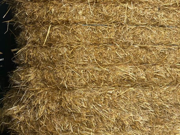 Prechopped 8x4x4 barley straw
