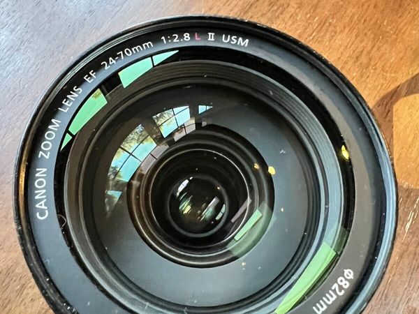 Canon EF 5175B002 24-70mm F/2.8L Standard Zoom Lens