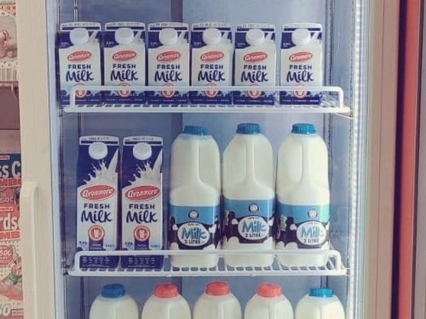 Shop Milk and Dairy Fridge