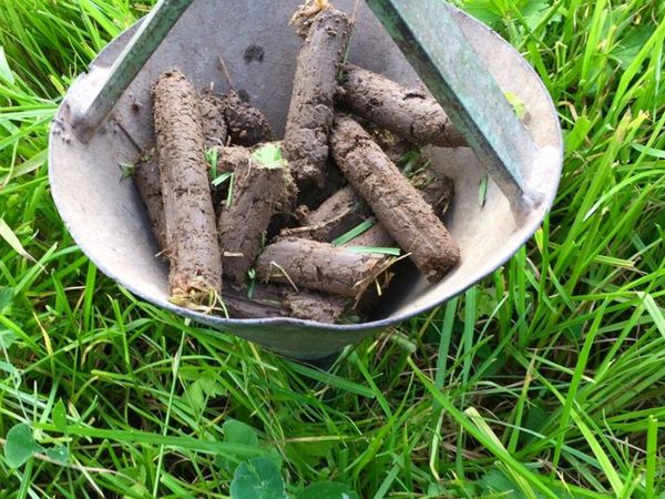 Soil Sampling Service - Clare, Limerick and Galway