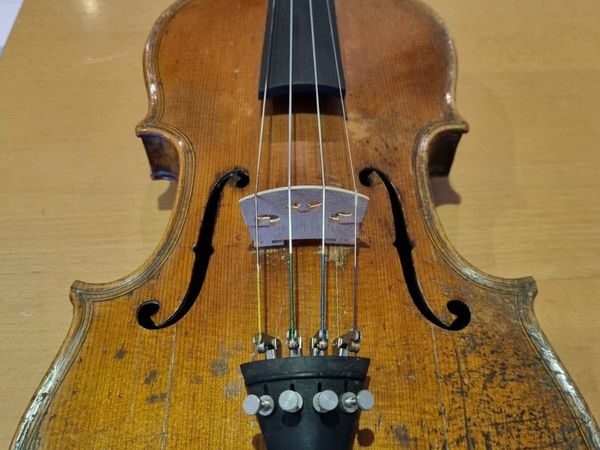 Fiddle - Maggini Copy