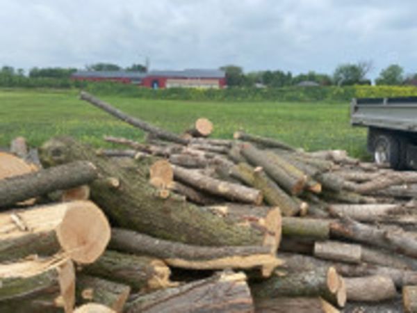 Timber lengths firewood rounds sticks