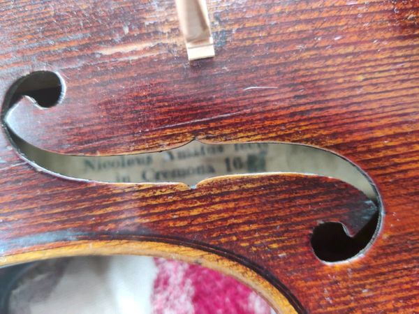 Fiddle/violin