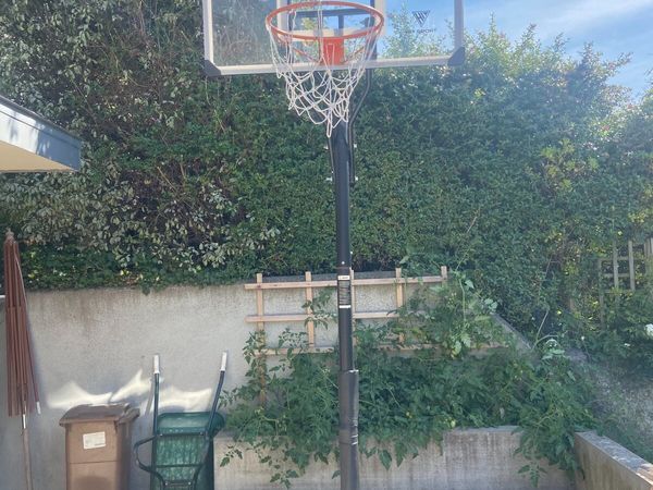Hitsport Premium Adjustable Basketball Hoop