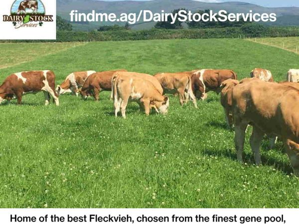 Dairystock Services Ltd on agcontacts.com