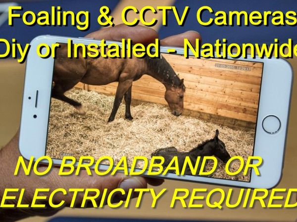 Yard CCTV  Security Cameras / Foaling Camera