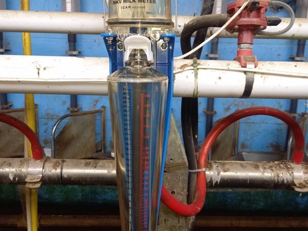 Milking Parlours Ads For Sale in Ireland | DoneDeal