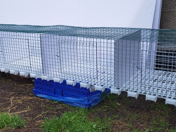Galvanised Rabbits  Cage 🐇