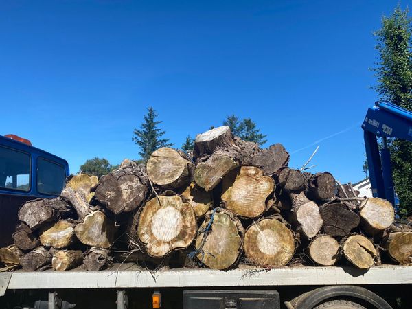 Timber (hardwood) for Sale