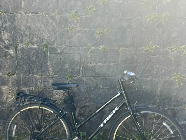 Hybrid Bicycle - Trek FX 1