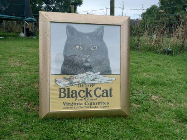 Black Cat Cigs Ad