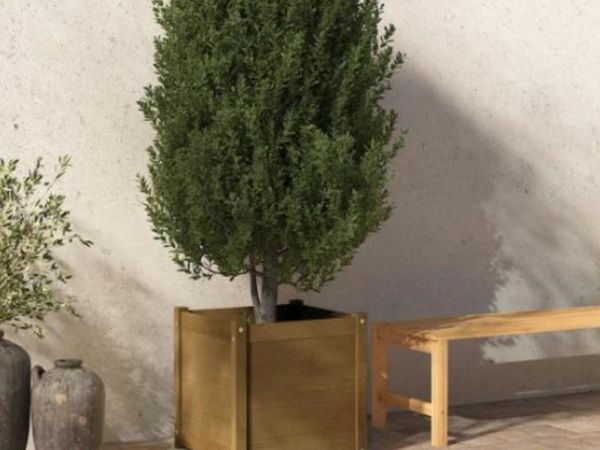 New* Garden Planter Honey Brown 50x50x50 cm Solid Pinewood