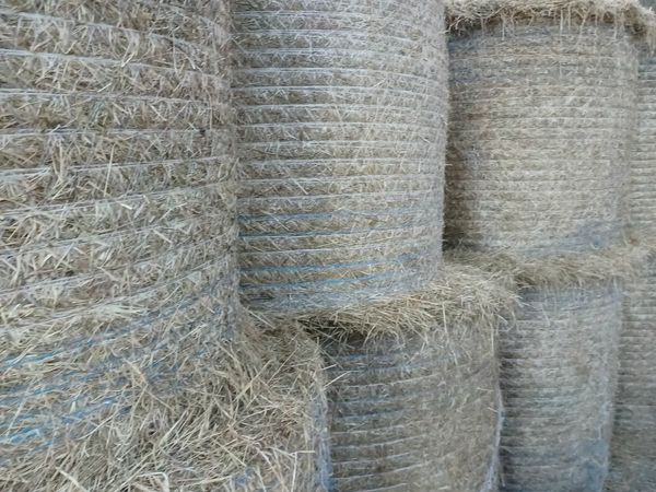 Round bales of hay  -Ballinamuck, Longford