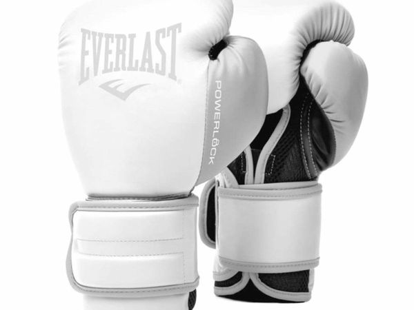 Everlast Power Training Gloves 16oz