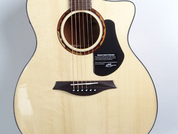 Mayson Alpha 3 /SCE handbuilt guitar