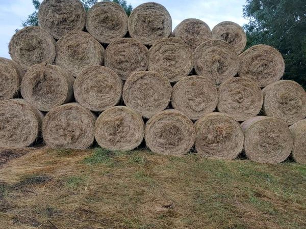 Hay for sale