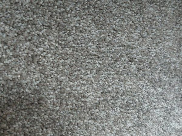 Carpet in excellent condition