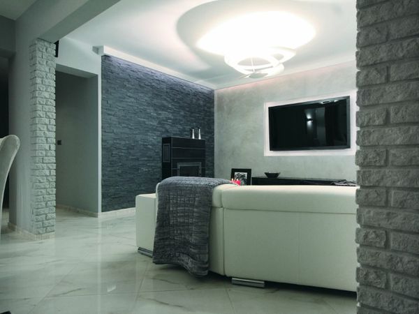 Natural Stone - Argento Color - Wall Cladding