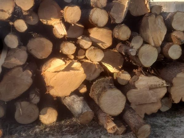 Timber For Sale
