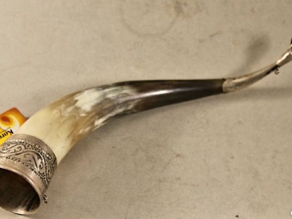 Antique silver display horn 875