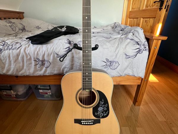Beginner Guitar with lots of extras
