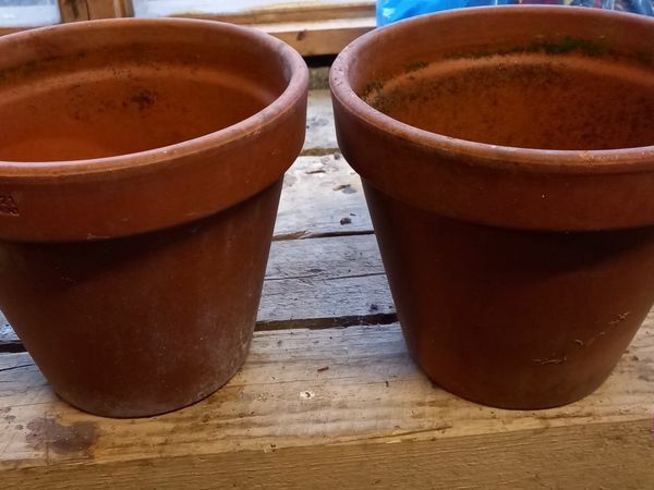 Plant and Pots.