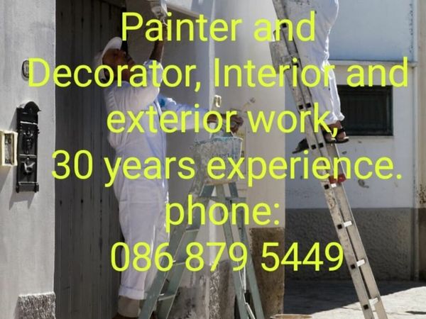 Painter and Decorator Wexford