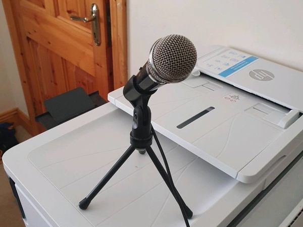 Mic for PC