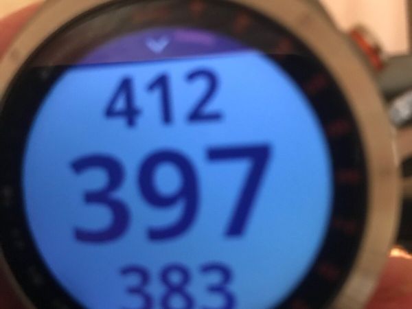 Garmin GPS S40 golf watch