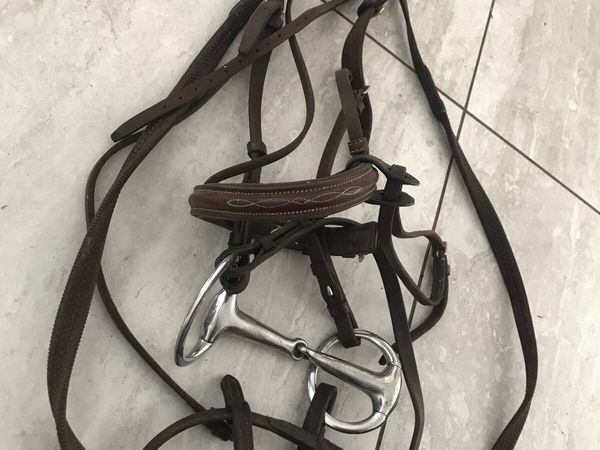 Bridle prices, rugs, travel boots
