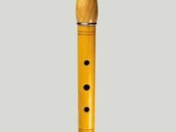 As New Flute with Hard Case