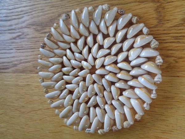 Hand Crafted Sea Shell Trivet for Sale