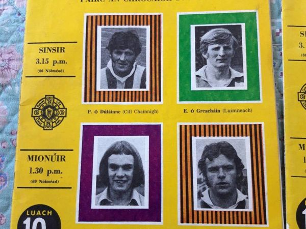 1973 all ireland hurling programme