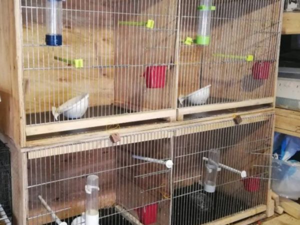 Breeding cage and other bird cages