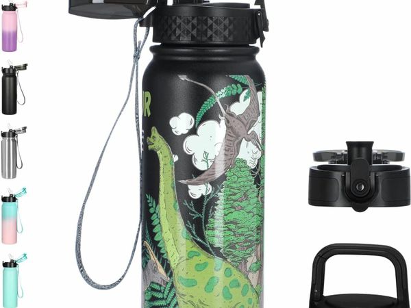 Dinosaur Kids Stainless Steel Water Bottle with Straw Vacuum Insulated Bottle 600ML Double Walled Water Bottle BPA Free Drinks Bottle 3 Lids(Straw Lid,Chug Lid,Carabiner Lid) for School(3D Dinosaur)