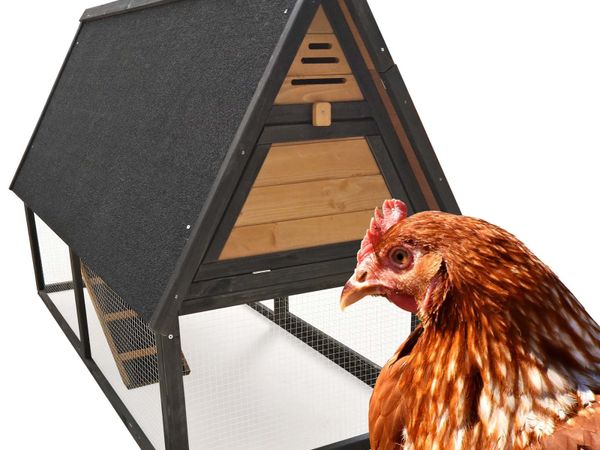 Chicken Coop, Enclosure, Nest Box, Perch and Tray