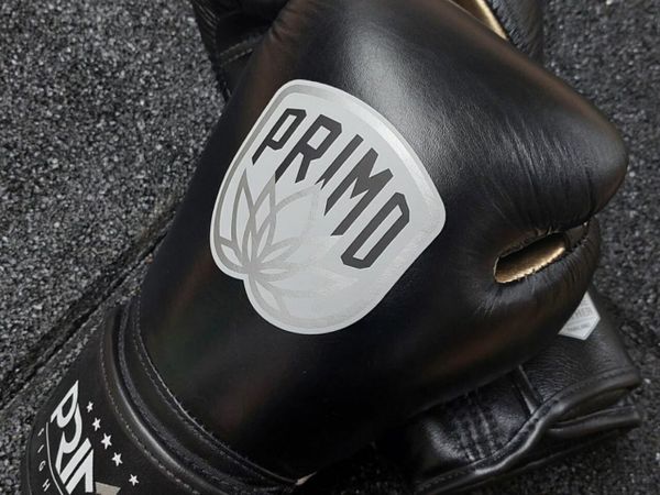 Primo Fightwear Boxing Gloves | 12oz | Black