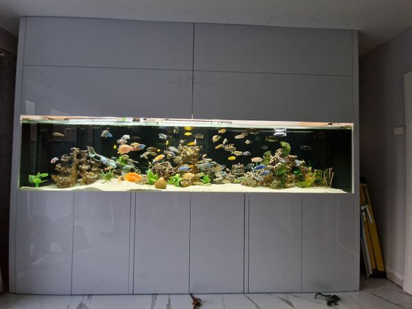 Fish tank 2000 L