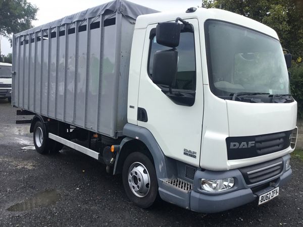 Daf cattle lorry for sale in Armagh for £123 on DoneDeal