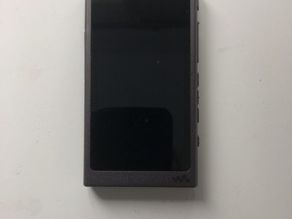 Sony NW-A45 Hi-Res Walkman
