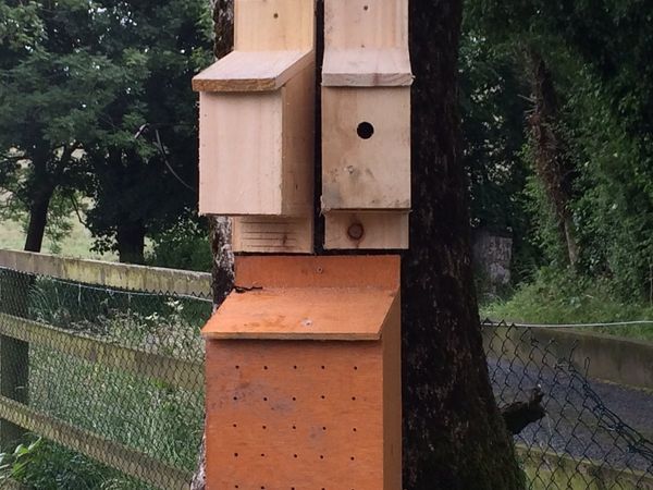 Bat boxes bird boxes bee boxes