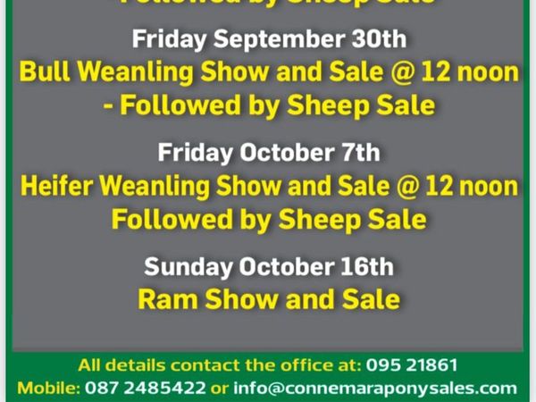 Bull Weanling Show & Sale in Clifden Fri 30th 12pm