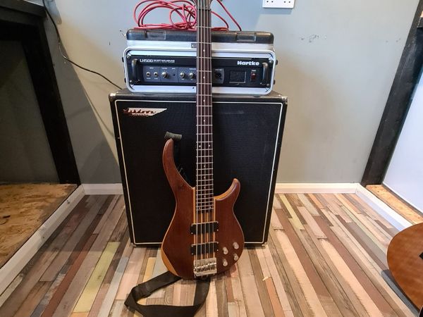 5-string PEAVEY Bass + Amp + Speaker