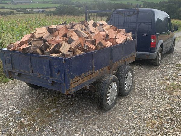 Trailer load of ash firewood