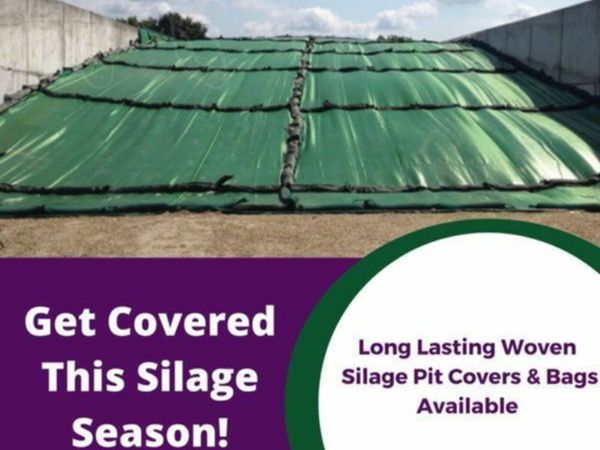 Silage / Maize Cover