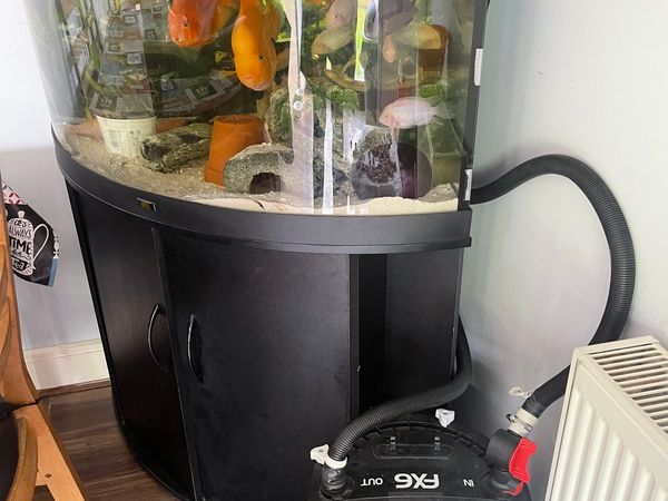 Fish tank with all included