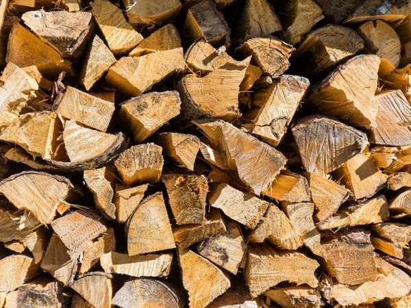 Firewood *ASH* best offers