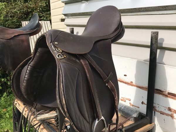 Equine saddles, bridles and Accessories