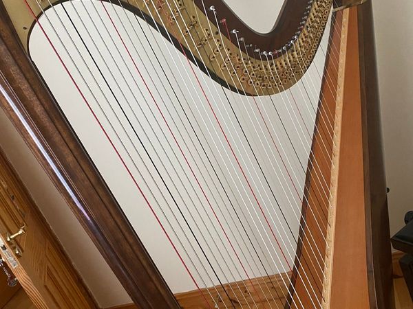 Concert (pedal) harp sought