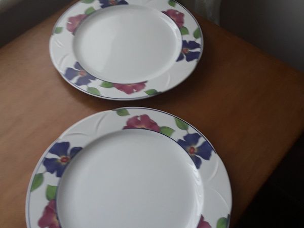 Two lovely ceramic dinner plates suitable for somebody matching up